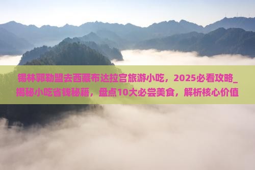 锡林郭勒盟去西藏布达拉宫旅游小吃