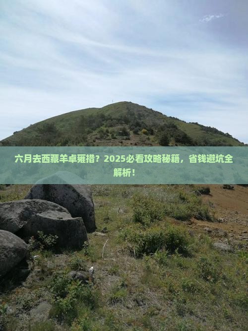 六月到西藏羊卓雍措旅行社