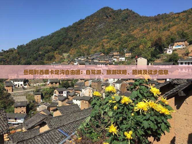 岳阳到西藏卡定沟自由团
