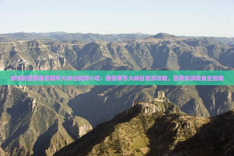 新余到西藏雅鲁藏布大峡谷旅游小吃