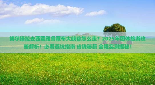 博尔塔拉去西藏雅鲁藏布大峡谷团体旅游