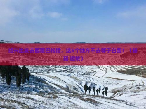 绍兴去西藏巴松措必去地