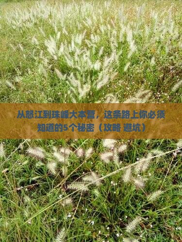 怒江去西藏珠峰大本营哪里玩