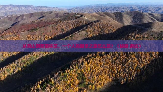 黄山去西藏林芝个人游