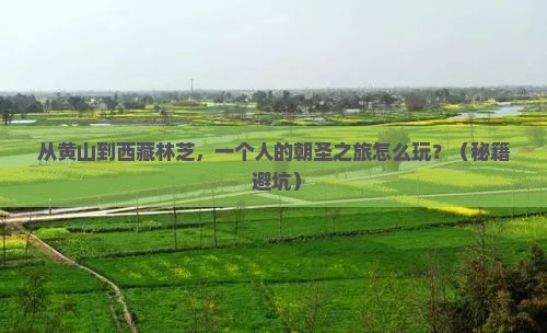 黄山去西藏林芝个人游