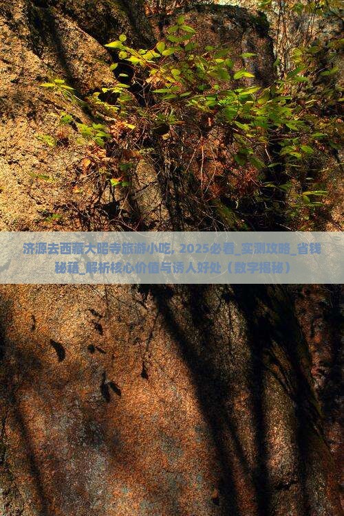 济源去西藏大昭寺旅游小吃
