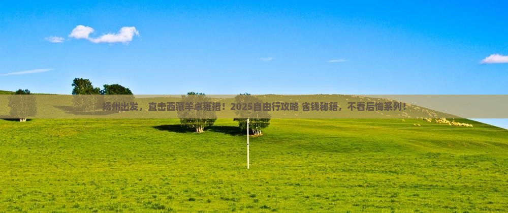 扬州到西藏羊卓雍措自由团