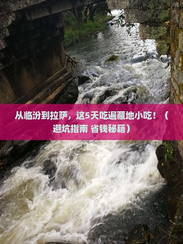 临汾到西藏拉萨旅游小吃