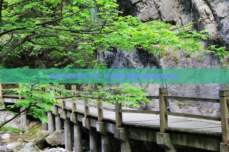 成都去西藏纳木措旅行社