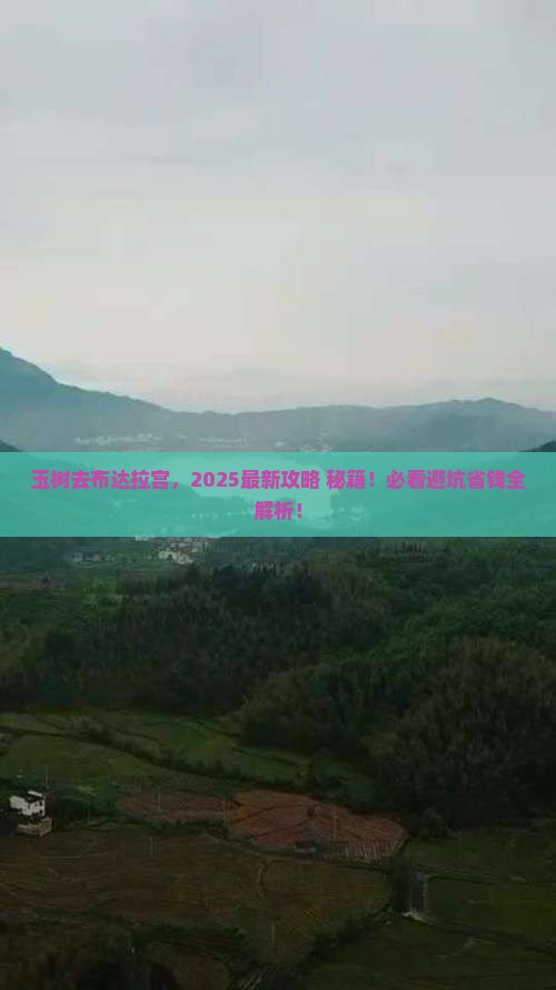 玉树去西藏布达拉宫必去地