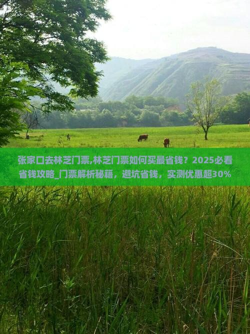 张家口去西藏林芝门票