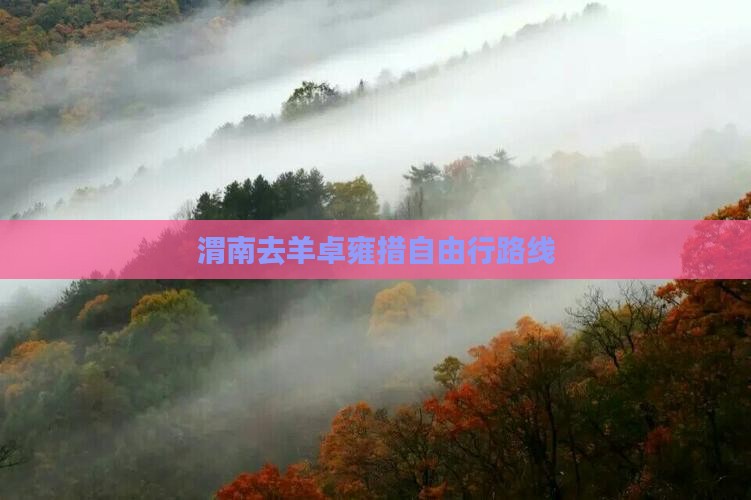 渭南去西藏羊卓雍措自由行