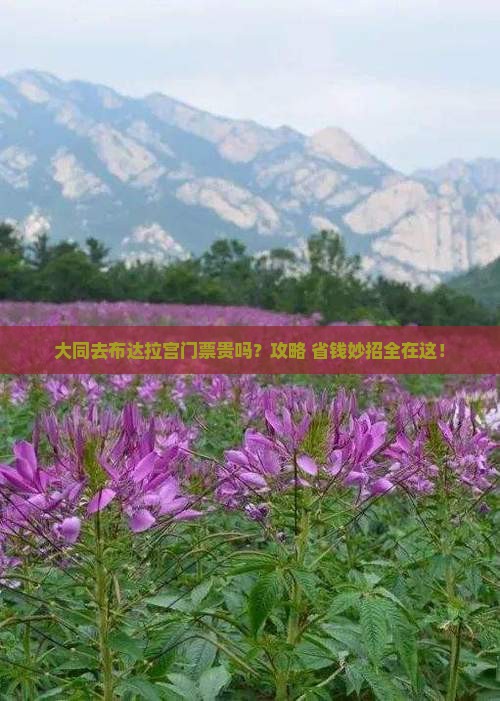 大同去西藏布达拉宫门票