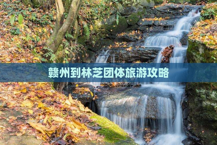 赣州到西藏林芝团体旅游