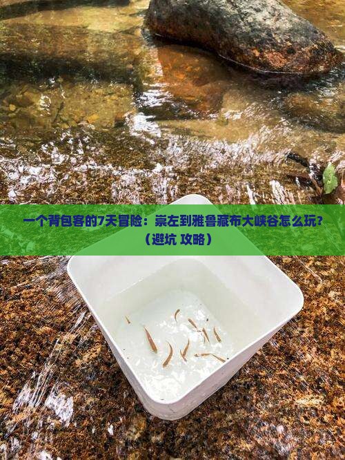 崇左到西藏雅鲁藏布大峡谷七日游