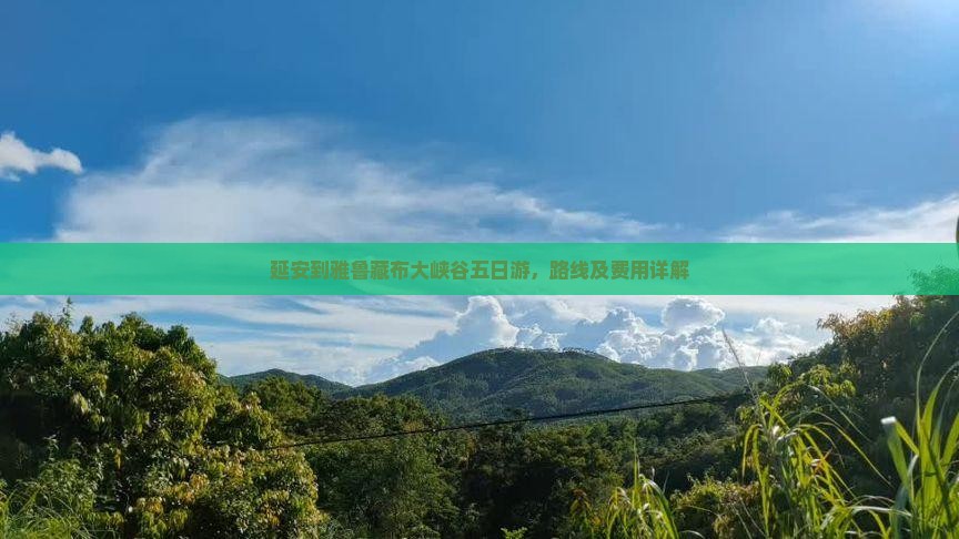 延安到西藏雅鲁藏布大峡谷五日游