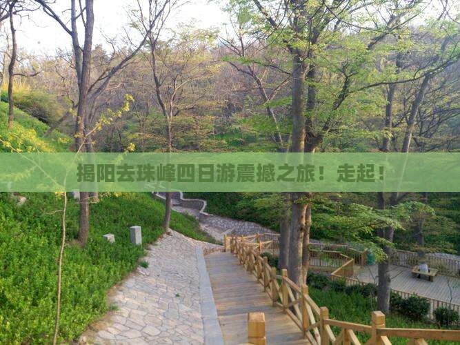 揭阳去西藏珠峰大本营四日游