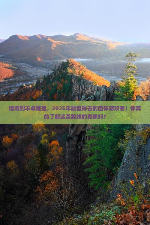 塔城到西藏羊卓雍措团体旅游