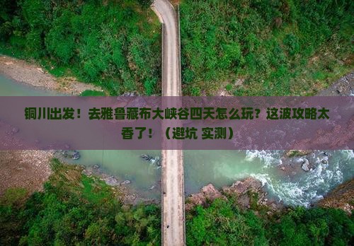 铜川去西藏雅鲁藏布大峡谷四日游