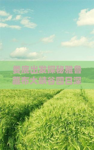 娄底出发探秘雅鲁藏布大峡谷四日深度游攻略