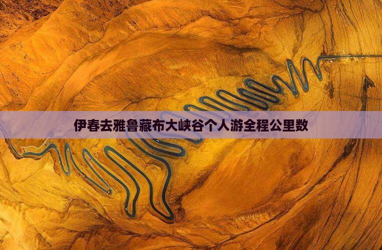 伊春去雅鲁藏布大峡谷个人游全程公里数