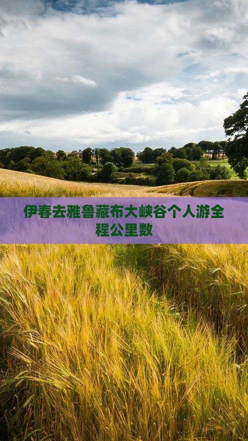 伊春去雅鲁藏布大峡谷个人游全程公里数