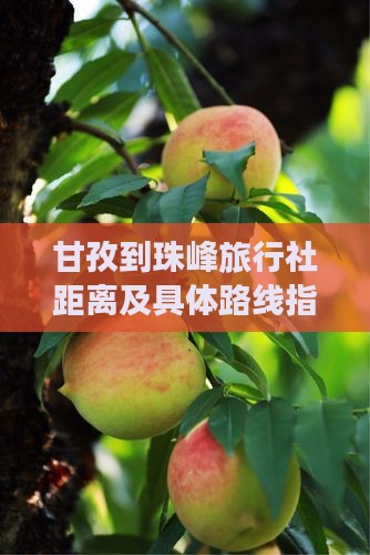 甘孜到珠峰旅行社距离及具体路线指南