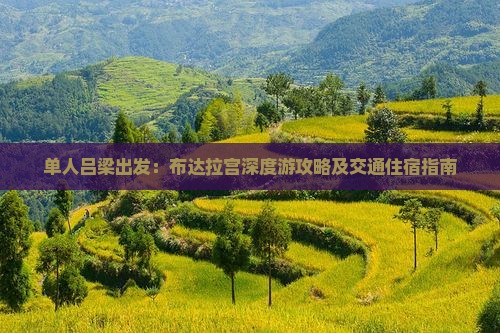 单人吕梁出发：布达拉宫深度游攻略及交通住宿指南