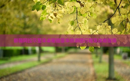新疆阿拉尔至羊卓雍措豪华旅游团行程及攻略指南