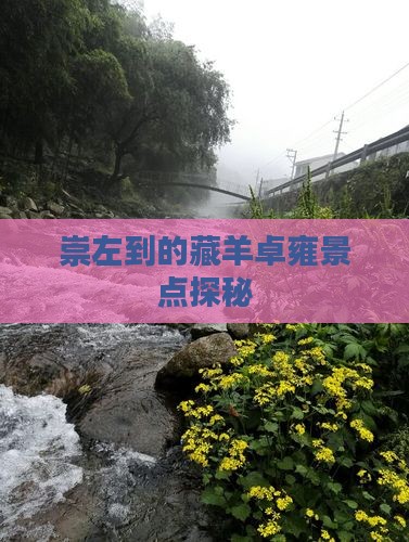 崇左到的藏羊卓雍景点探秘