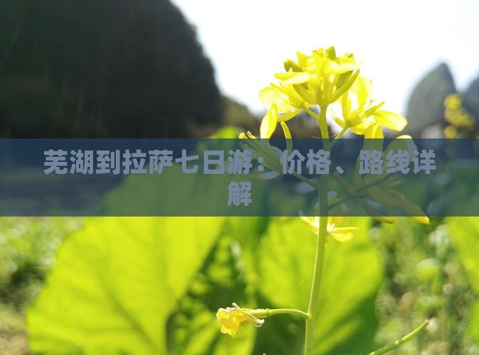 芜湖到拉萨七日游：价格、路线详解