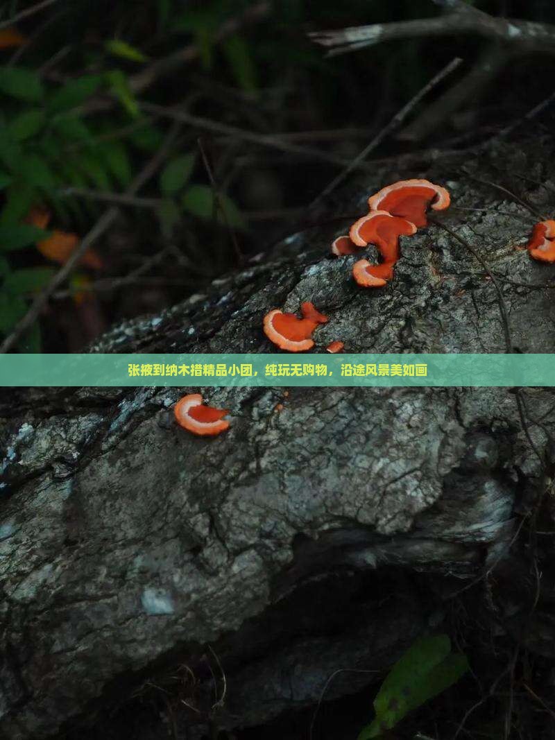 张掖到纳木措精品小团，纯玩无购物，沿途风景美如画