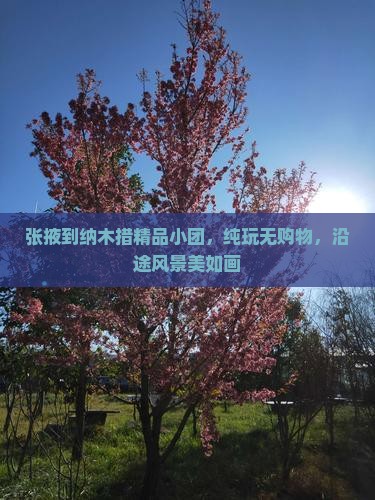 张掖到纳木措精品小团，纯玩无购物，沿途风景美如画