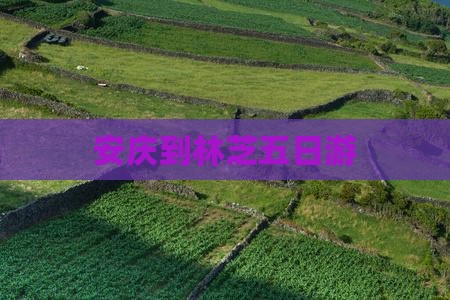 安庆到林芝五日游