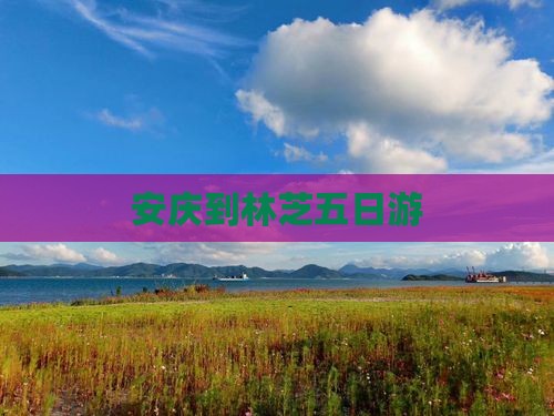 安庆到林芝五日游