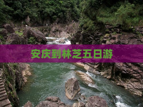 安庆到林芝五日游