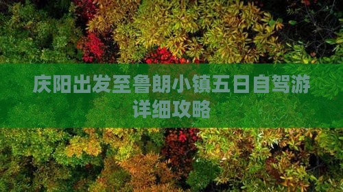 庆阳出发至鲁朗小镇五日自驾游详细攻略