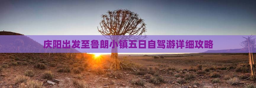 庆阳出发至鲁朗小镇五日自驾游详细攻略