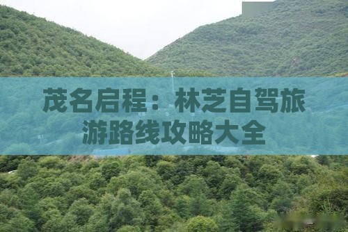 茂名启程：林芝自驾旅游路线攻略大全