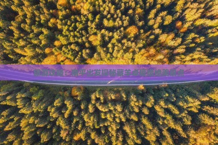 旅游攻略：南平出发探秘藏羊卓雍措绝美景点