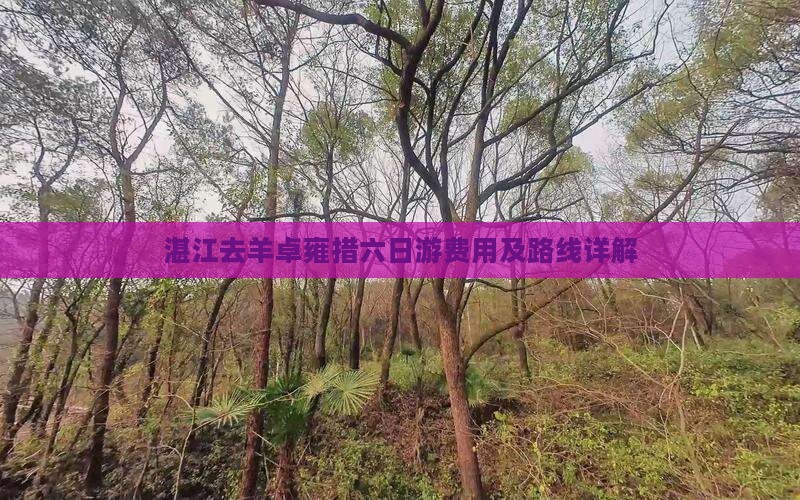 湛江去羊卓雍措六日游费用及路线详解