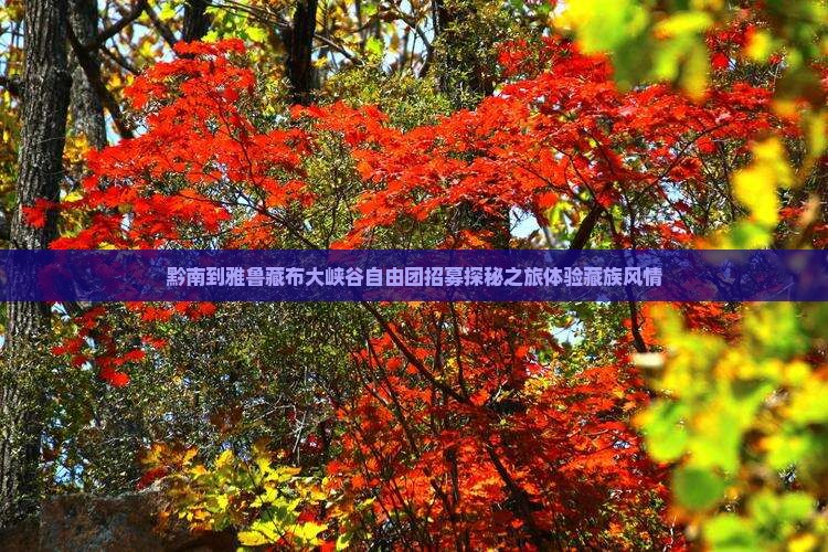 黔南到雅鲁藏布大峡谷自由团招募探秘之旅体验藏族风情