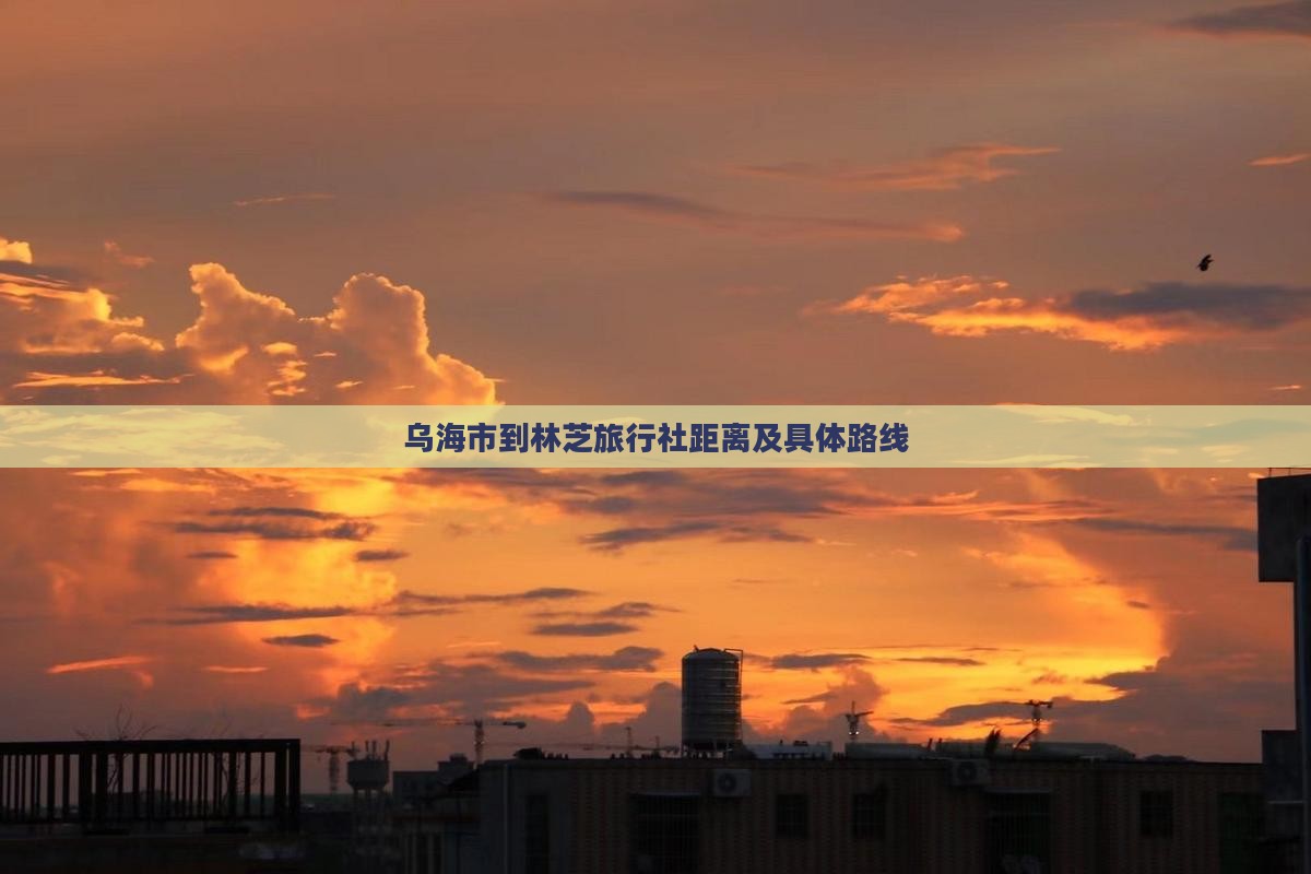 乌海市到林芝旅行社距离及具体路线