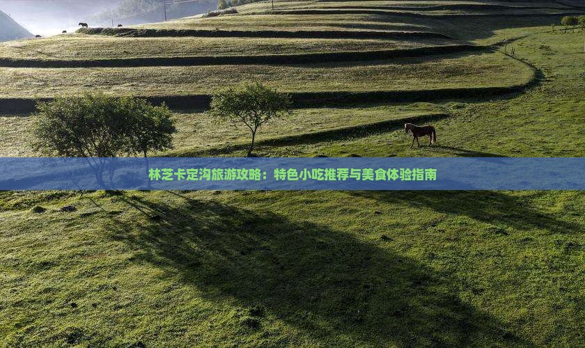 林芝卡定沟旅游攻略：特色小吃推荐与美食体验指南