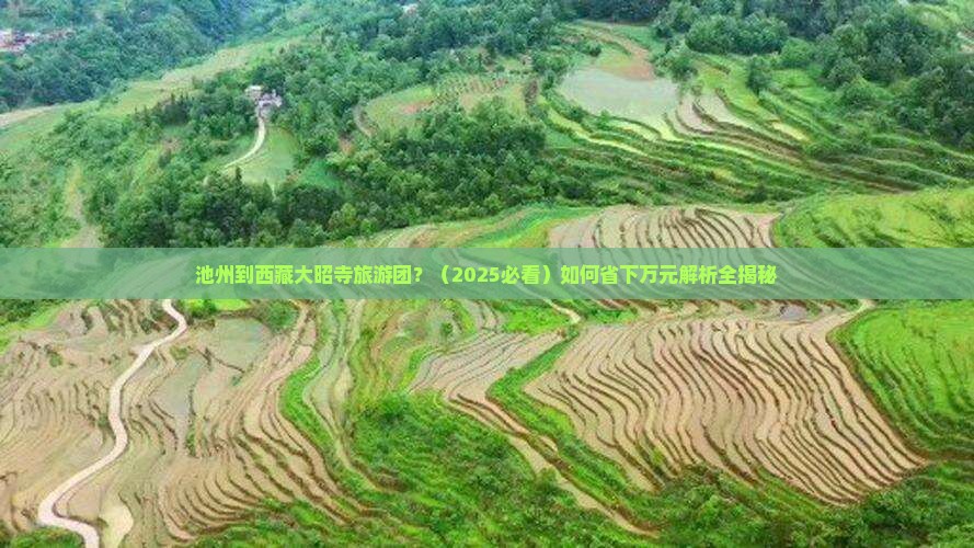 池州去西藏大昭寺大型旅游团