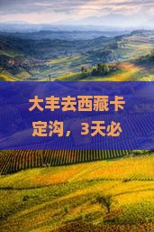 大丰去西藏卡定沟必去地