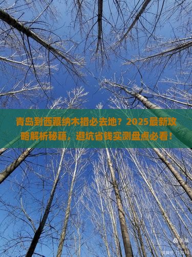 青岛到西藏纳木措必去地