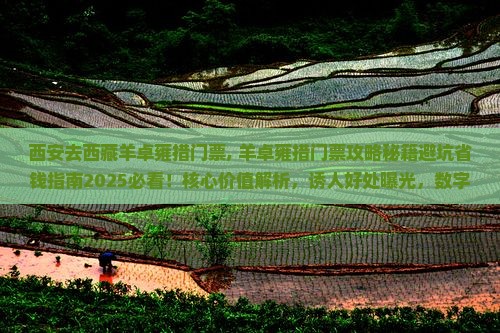 西安去西藏羊卓雍措门票
