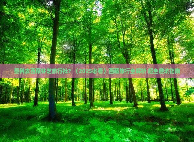 垦利去西藏林芝旅行社