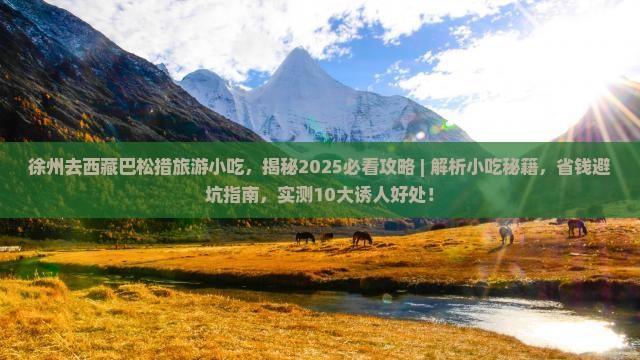 徐州去西藏巴松措旅游小吃